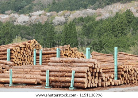 Wood storage location