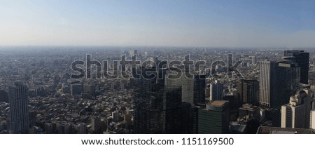 Panoramic view of Tokyo city