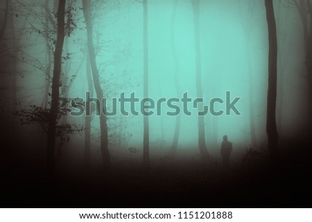 man silhouette in haunted forest, scary surreal landscape