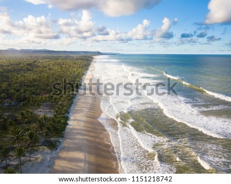 Aerial view of deserted tropical beach with coconut trees