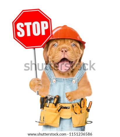 Funny puppy in overalls and hard hat with tool belt showing stop sign. Isolated on white background