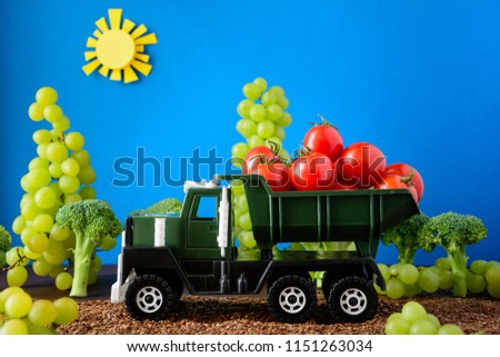 Kid's track loaded with fresh cherry tomatoes in garden from broccolli and grapes.  Harvest concept. Copy space