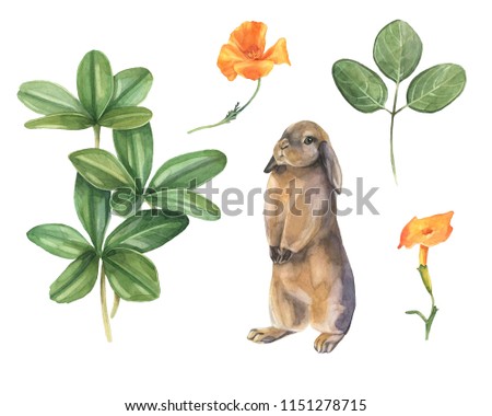 Watercolor collection of hand-drawn green leaves, orange flowers and cute bunny. Isolated elements. 