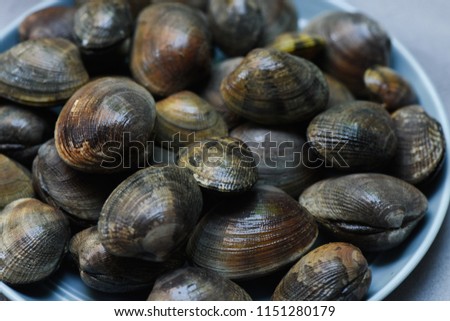 Fresh clams, seafood at the market. Background, selected focus, close up