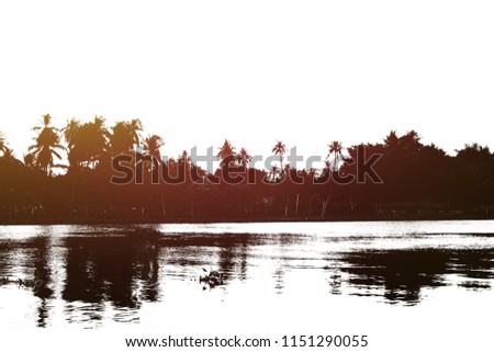 Silhouette the coconut trees on the river look very beautiful.