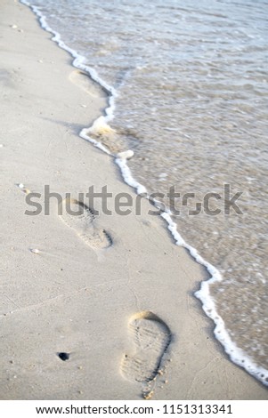 Footprints walking on the beach by the morning