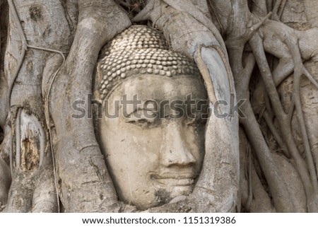 World heritage Ayutthaya Thailand remains Wat Phra Mahathat 