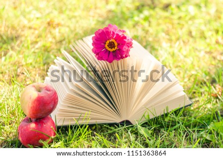 Fresh apples near the book and open book with a flower. Open book on the grass