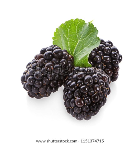 blackberries fruit and leaf on white background healthy food isolated