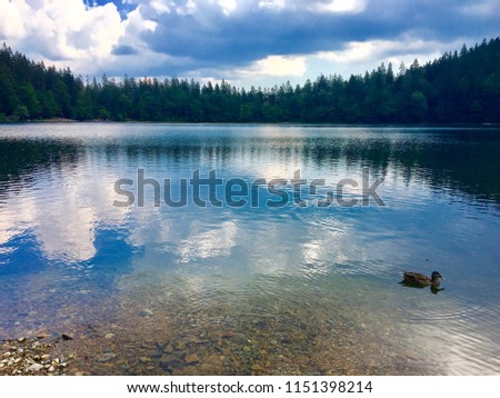 Lake in Black Forest in south germany in summer time