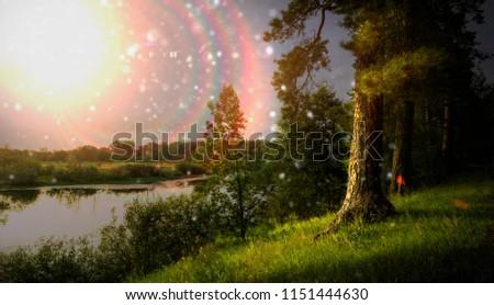 Magical forest on the river bank, magic light