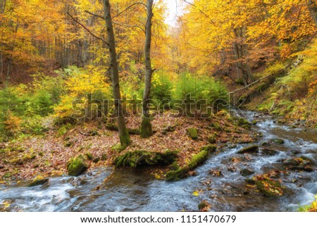 View of Little River in autumn, Great Smoky Mountains National Park, Tennessee