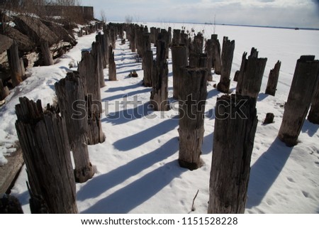Old wooden piles in abandoned pier