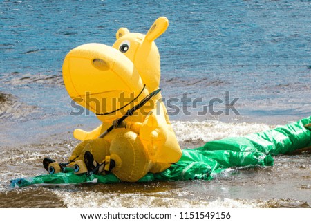 Inflatable hippopotamus floats along the river