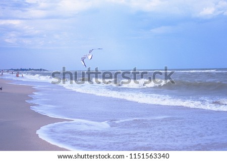 Beautiful seascape with seagull and foam white waves, photo with film grain