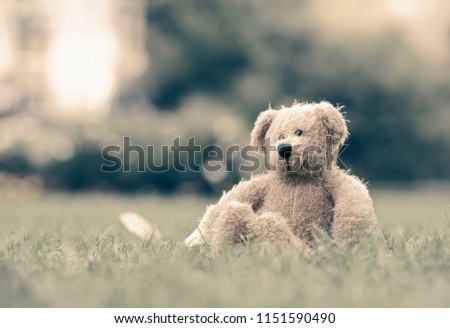 Lovely teddy bear sitting on grass field with blurry bokeh background, Loneliness brown bear doll sitting alone with copy space, Retro and vintage style