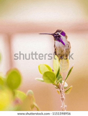 Painting - Hummingbird sitting on a leaf