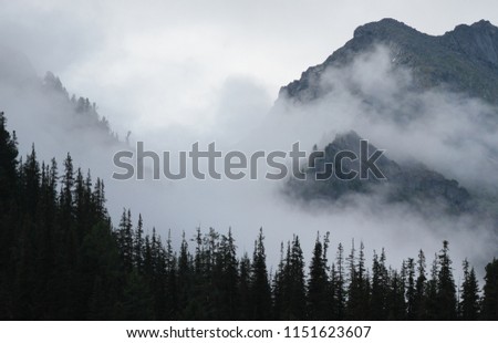 Fog in the mountains, Siberian taiga on a misty morning Royalty-Free Stock Photo #1151623607