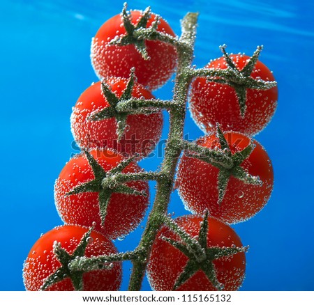 cherry tomatoes in the water on blue background