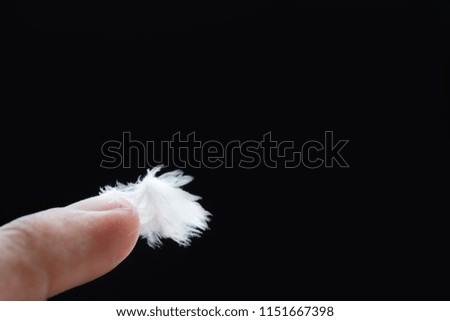 feather on fingertip, selective focus