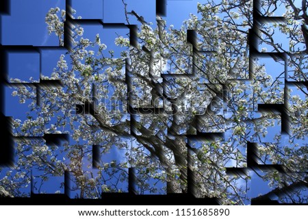 tribute to Picasso, cubist photograph of the fruit tree pear tree in full bloom in spring, Spain, series of photographs with cubist effects,artistic photography, contemporary art, Royalty-Free Stock Photo #1151685890