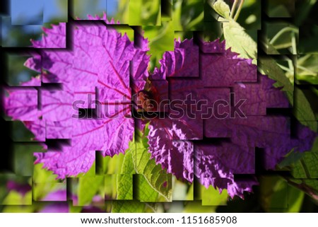 tribute to Picasso, cubist photograph of the garden plant in full bloom in spring, series of photographs with cubist effects,artistic photography, contemporary art, Royalty-Free Stock Photo #1151685908
