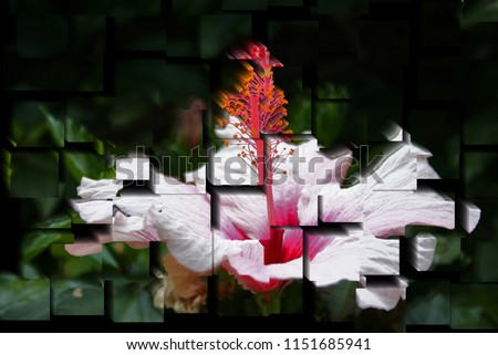 tribute to Picasso, cubist photograph of the flower hibisco, tropical flower,spring, background, flowers, flower,nature, floral, garden,series of photographs with cubist effects,artistic photo Royalty-Free Stock Photo #1151685941