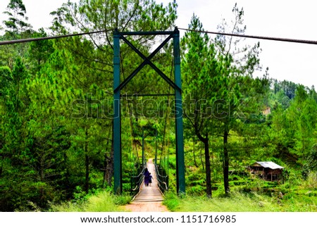 green suspension bridge in the countryside