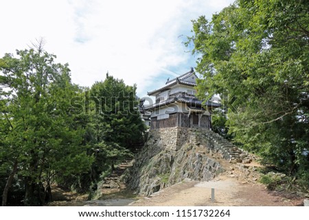 Bison in late summer Matsuyama castle