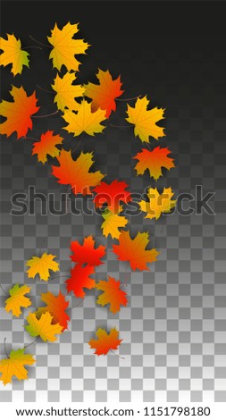 Autumn Vector Background with Golden Falling Leaves. Autumn Illustration with Maple Red, Orange, Yellow Foliage. Isolated Leaf on Transparent Background. Bright Swirl. Suitable for Flyers.
