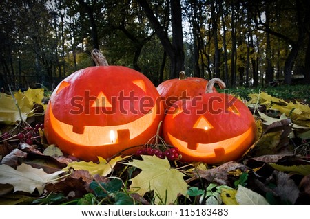 two pumpkin on grass with leaves