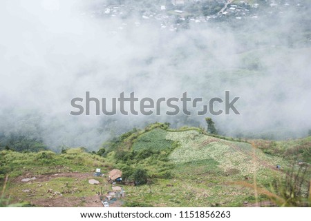 Green mountains with fog in the rainy season in Thailand