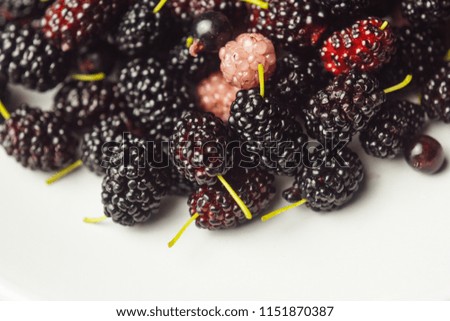 macro photo of a mulberry on a black background in a white plate. berries on the table in backlight. diet, beautiful figure, proper nutrition