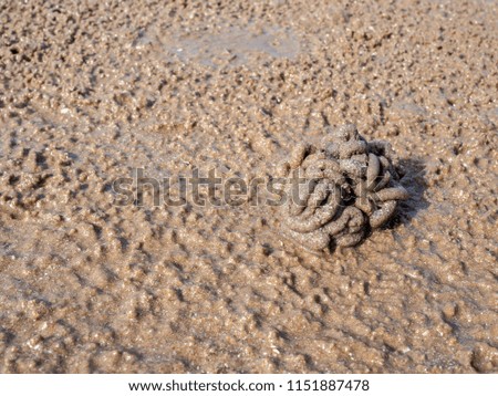 A  pile of sand from crab on the beach background texture.
