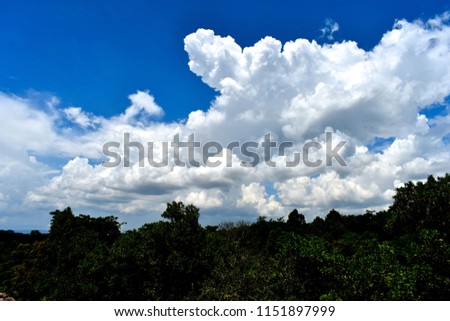 blue sky white clouds over green wood trees on smooth lake view