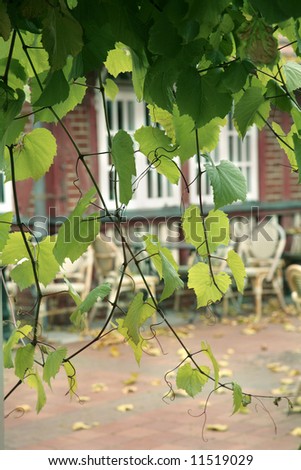 autumn cafe with yellow leaves