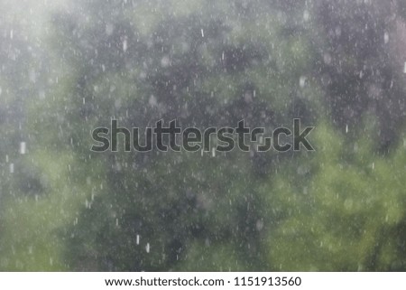 Blurred background of falling rain drops
