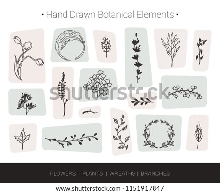 Botanical vector design elements. Hand drawn vector silhouettes of flowers, herbs, wreaths, tree branches. Logo design, wedding invitation, greeting card decor, fashion textile and floral prints.