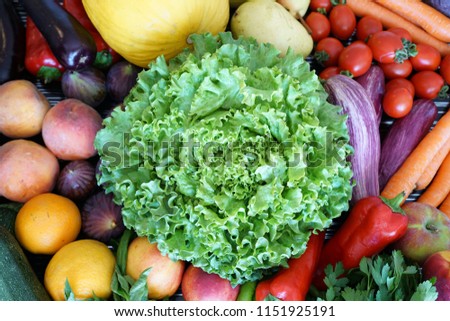 Huge group of variety fresh ripe raw vegetables and fruits. Clean eating. Close up. Full frame image. Overhead top view above mix background.