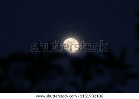 The Moon night