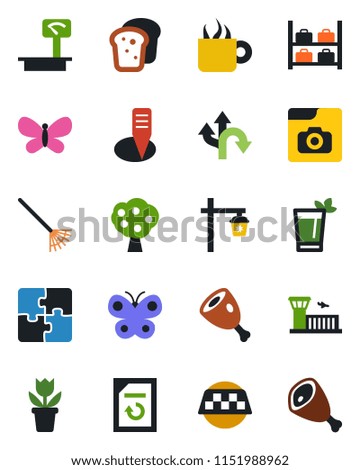 Color and black flat icon set - taxi vector, luggage storage, airport building, document reload, flower in pot, rake, butterfly, plant label, garden light, route, heavy scales, photo gallery, coffee