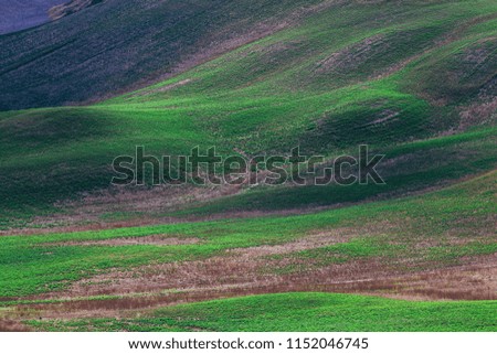Rolling green grassland hills.