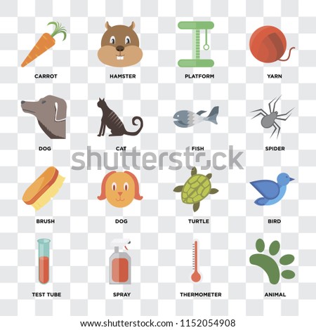 Set Of 16 icons such as Animal, Thermometer, Spray, Test tube, Bird, Carrot, Dog, Brush, Fish on transparent background, pixel perfect