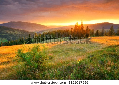 Autumn landscape. Colorful autumn nature. Picturesque hills and valleys in the morning. Vivid sunrise over mountains with red orange sky. Fall background. Carpathian, Ukraine.
