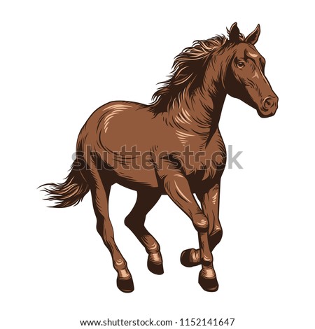 Horse Vector Illustration. Horse racing. Drawing horse in color