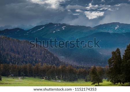 storm clouds over the tops of the mountains covered with forest