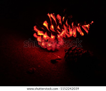 Picture of a burning pine cone