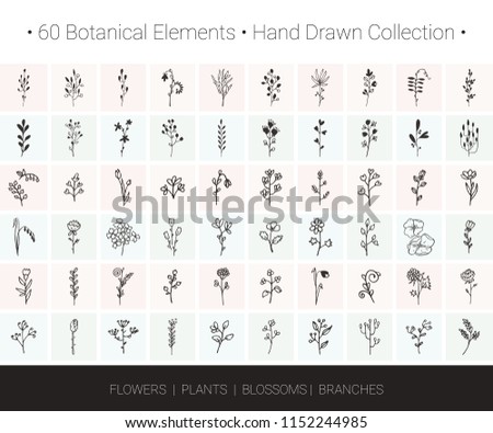 Botanical vector design elements. Branch, flower, herb, leaf, bud icons for floral wreaths, borders, logo designs, wedding invitation, greeting card, textile print. Hand drawn illustrations collection