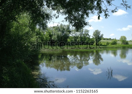 Beautiful summer landscape. Pond with trees and grass and cloudy sky.