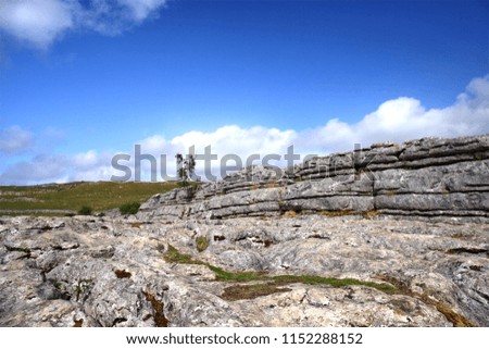 Limestone pavement above Malham Cove, Yorkshire Dales National Park. Landscape photo set against brilliant blue sky with an isolated tree in the distance